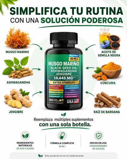 Kit Shilajit Musgo Marino